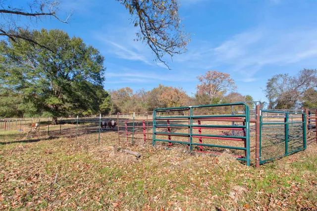 a view of a yard with wooden fence