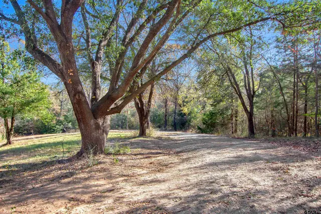 a fire hydrant in the middle of a field