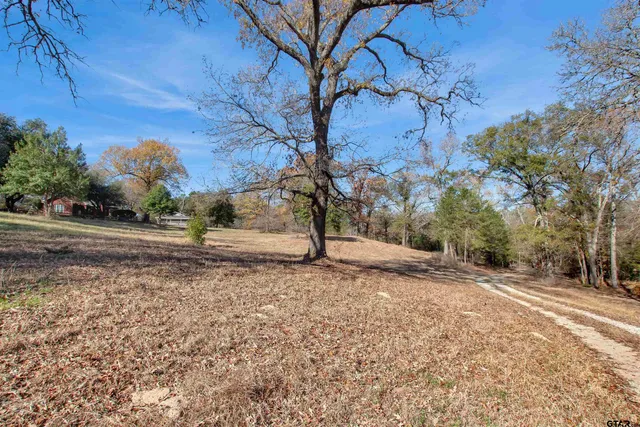 a view of a yard with plants and trees