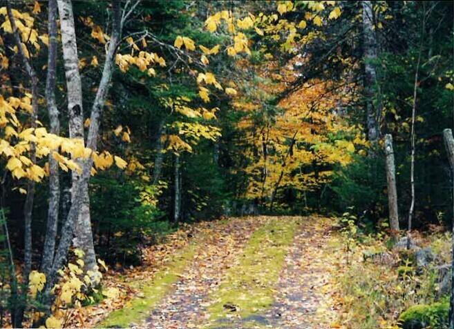 937 Macomber Mill Road Eastbrook, ME 04634 - Photo 12 of 16 Sandy Drive way