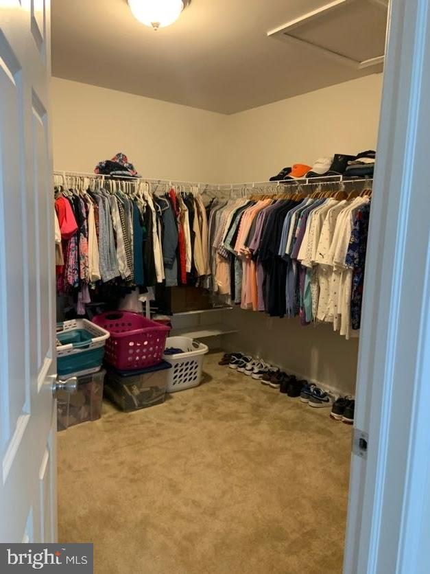 30 South Tompkins Square Downingtown, PA 19335 - Photo 17 of 33 a view of walk in closet with clothes and shoes