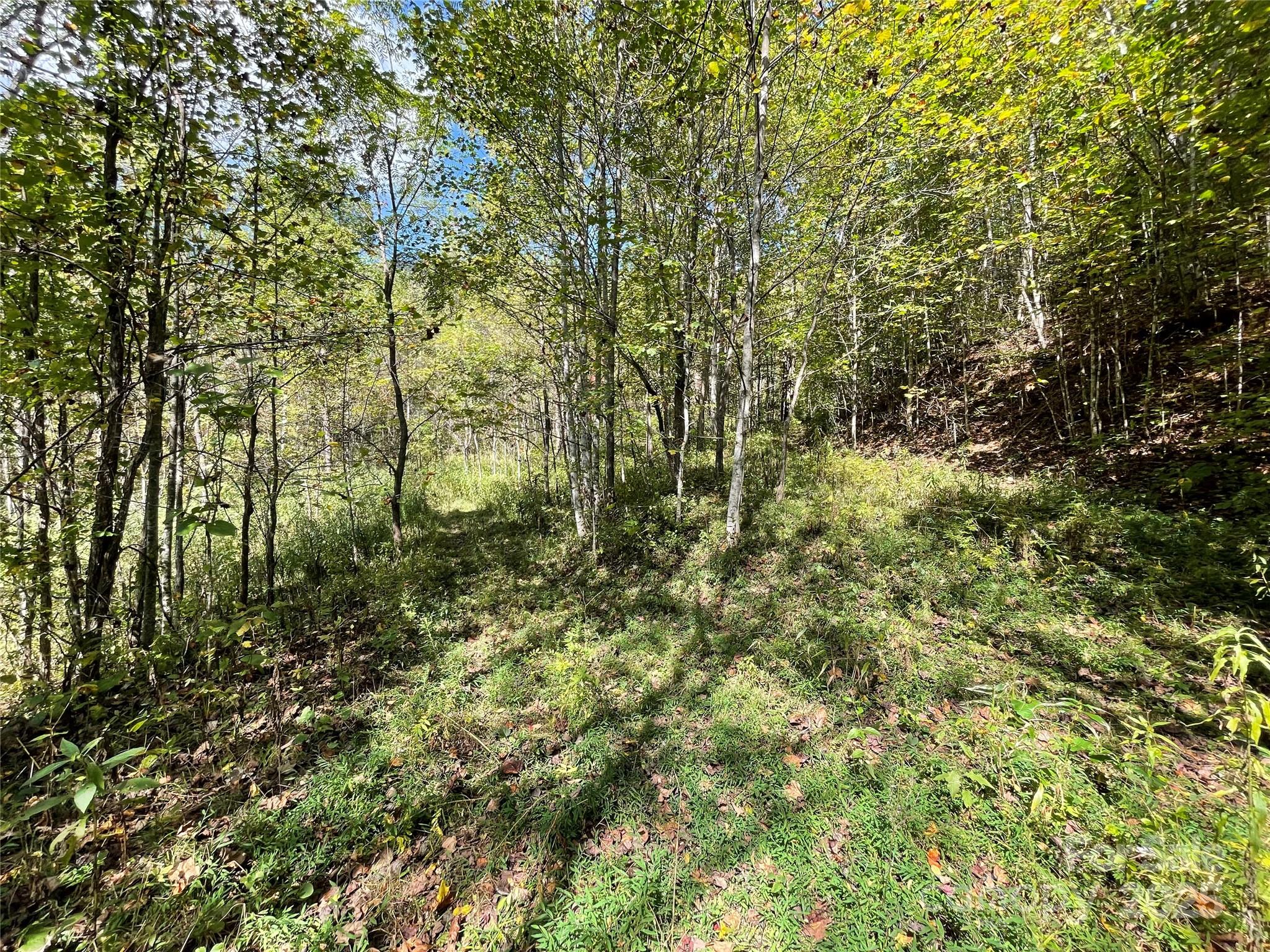 0 Poplar Holler Road Waynesville, NC 28786 - Photo 1 of 35 Gallery Image 1