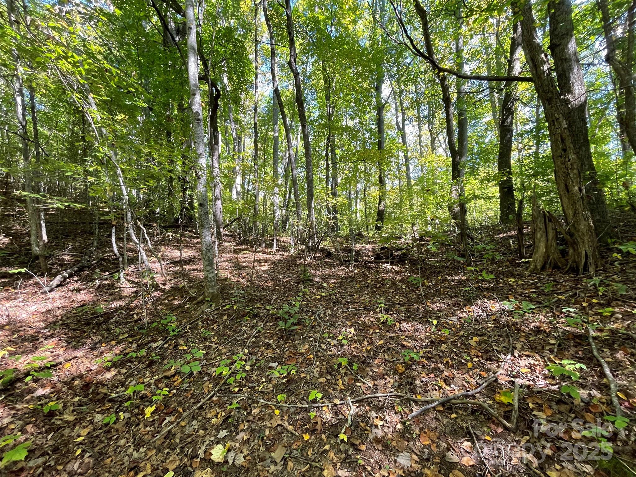 0 Poplar Holler Road Waynesville, NC 28786 - Photo 17 of 35 Gallery Image 17