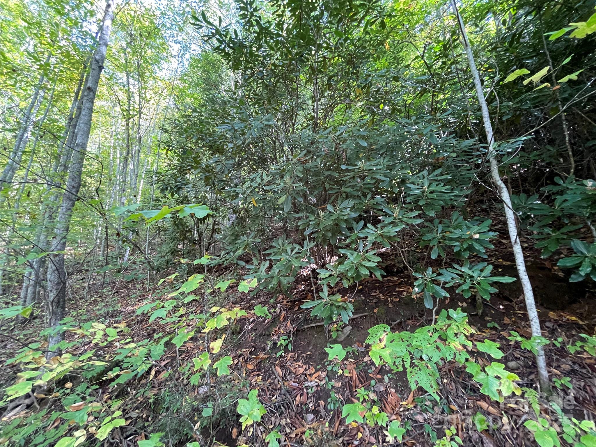 0 Poplar Holler Road Waynesville, NC 28786 - Photo 5 of 35 Gallery Image 5