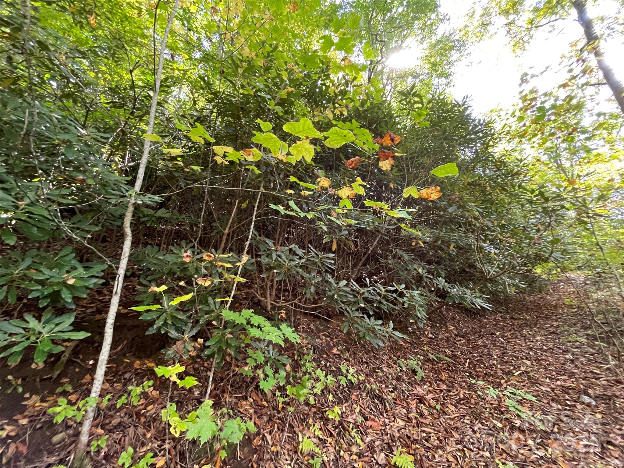 0 Poplar Holler Road Waynesville, NC 28786 - Photo 6 of 35 Gallery Image 6