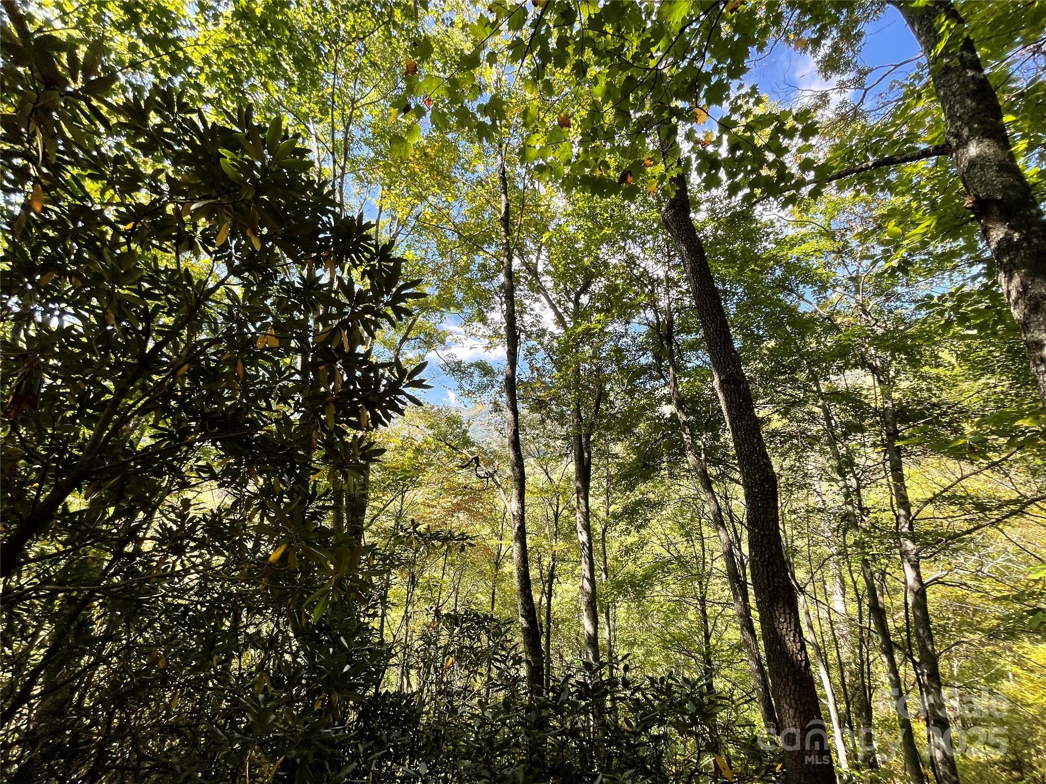 0 Poplar Holler Road Waynesville, NC 28786 - Photo 9 of 35 Gallery Image 9