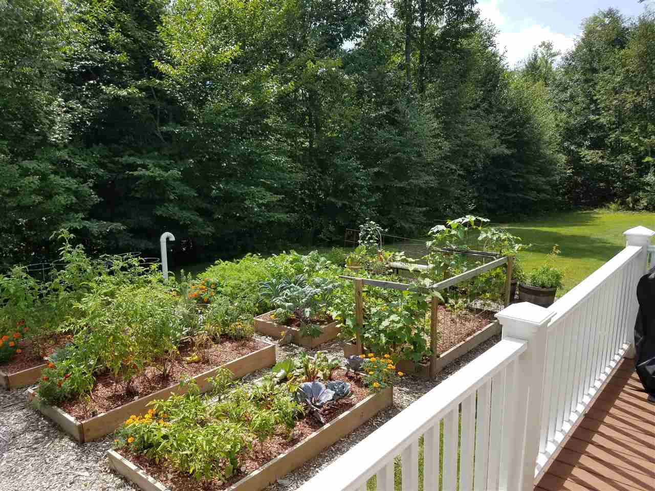 12 Atlantic Drive Rindge, NH 03461 - Photo 29 of 33