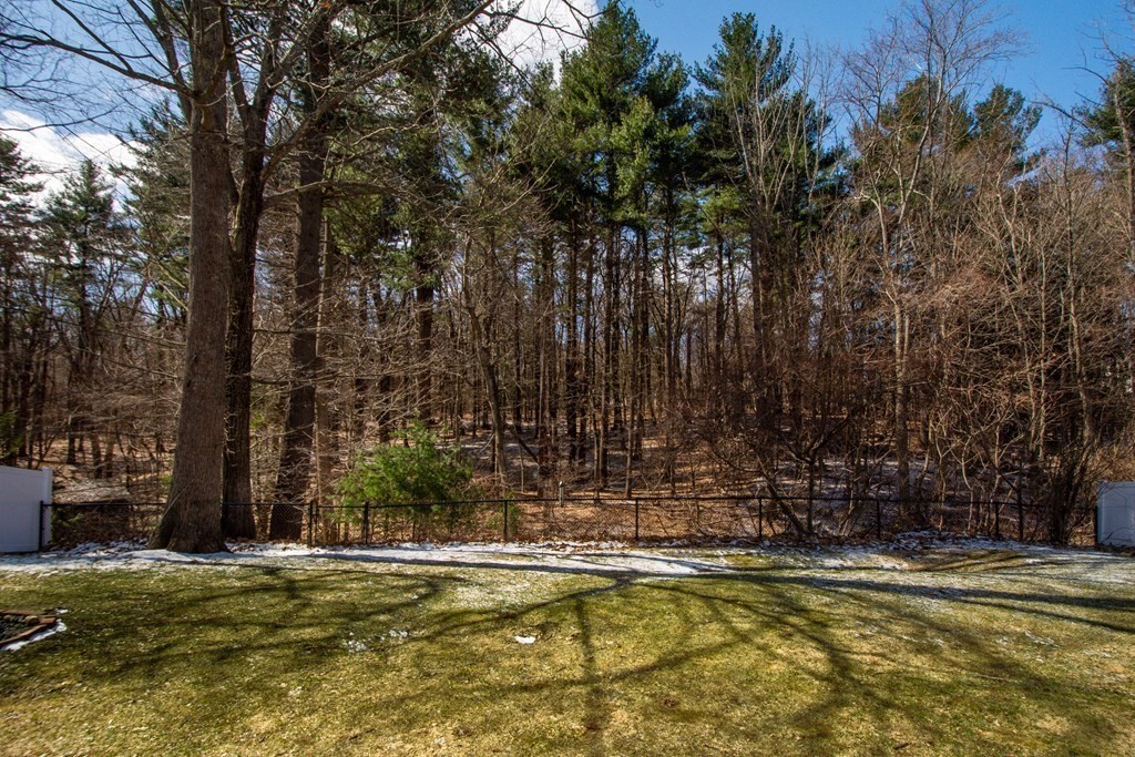 95 Andover Road Billerica, MA 01821 - Photo 16 of 18 a view of swimming pool with trees