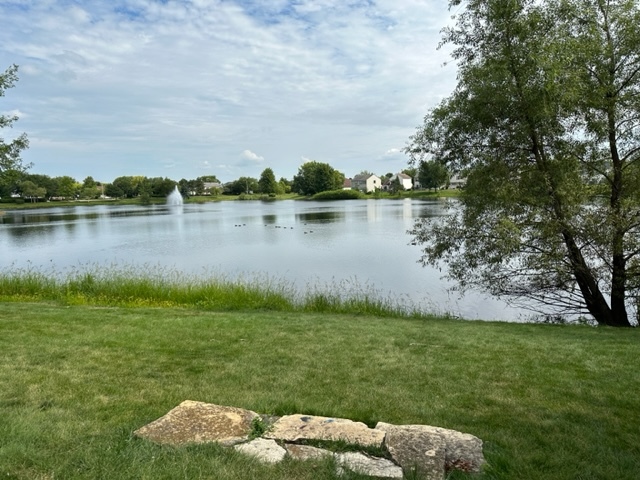 1903 Ridgemoor Drive Plainfield, IL 60586 - Photo 18 of 19 a view of a lake from a yard