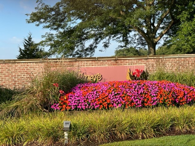 1903 Ridgemoor Drive Plainfield, IL 60586 - Photo 19 of 19 a view of a lake with a big yard