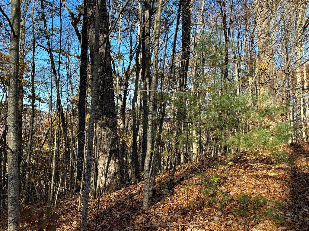 Lot#39 Falcon Stone Ridge Topton, NC 28781 - Photo 5 of 10