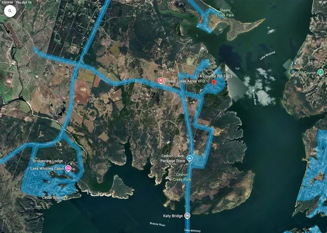 a picture of flowers