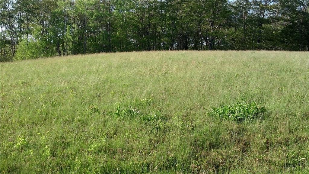 176 Pleasant Point Road Cushing, ME 04563 - Photo 25 of 32 Photo