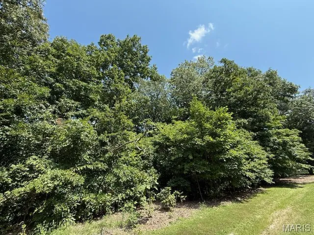 $15,900 | 0 Sec 5-8n-1e, Ramsey, IL 62080