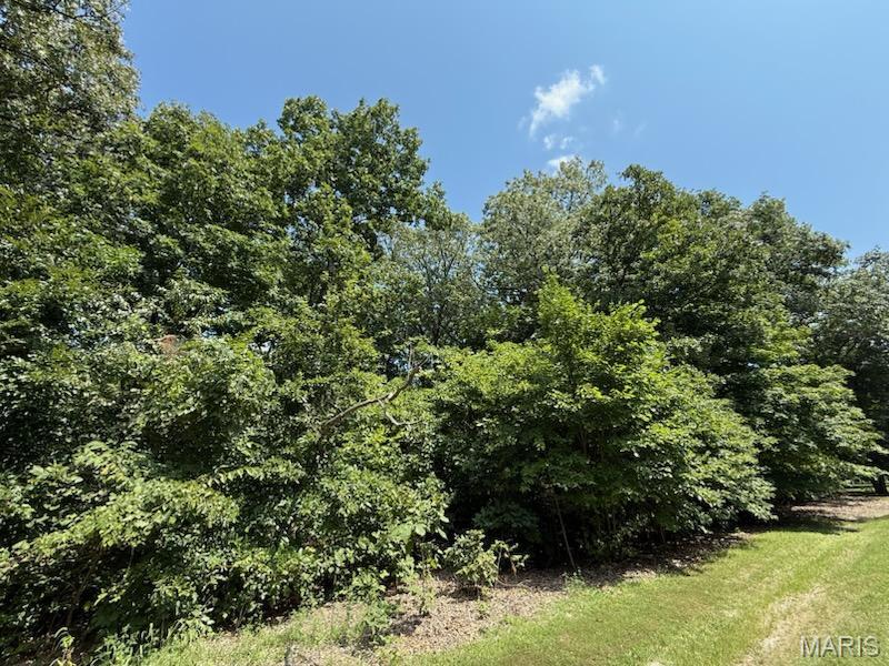 0 Sec 5-8n-1e Ramsey, IL 62080 - Photo 2 of 2