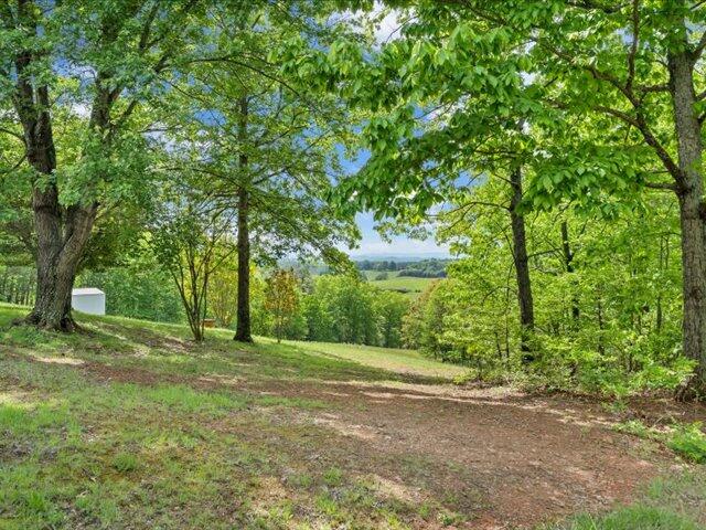 743 Crows Nest Road Bassett, VA 24055 - Photo 38 of 51 38-MIB05028