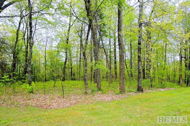 Lot 21 Highgate Road Highlands, NC 28741 - Photo 12 of 16 Gallery Image 12
