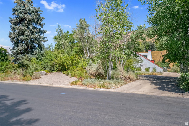510 Spring Creek Road Providence, UT 84332 - Photo 90 of 97 Paved street with multiple driveways, mature trees, and a mountain backdrop