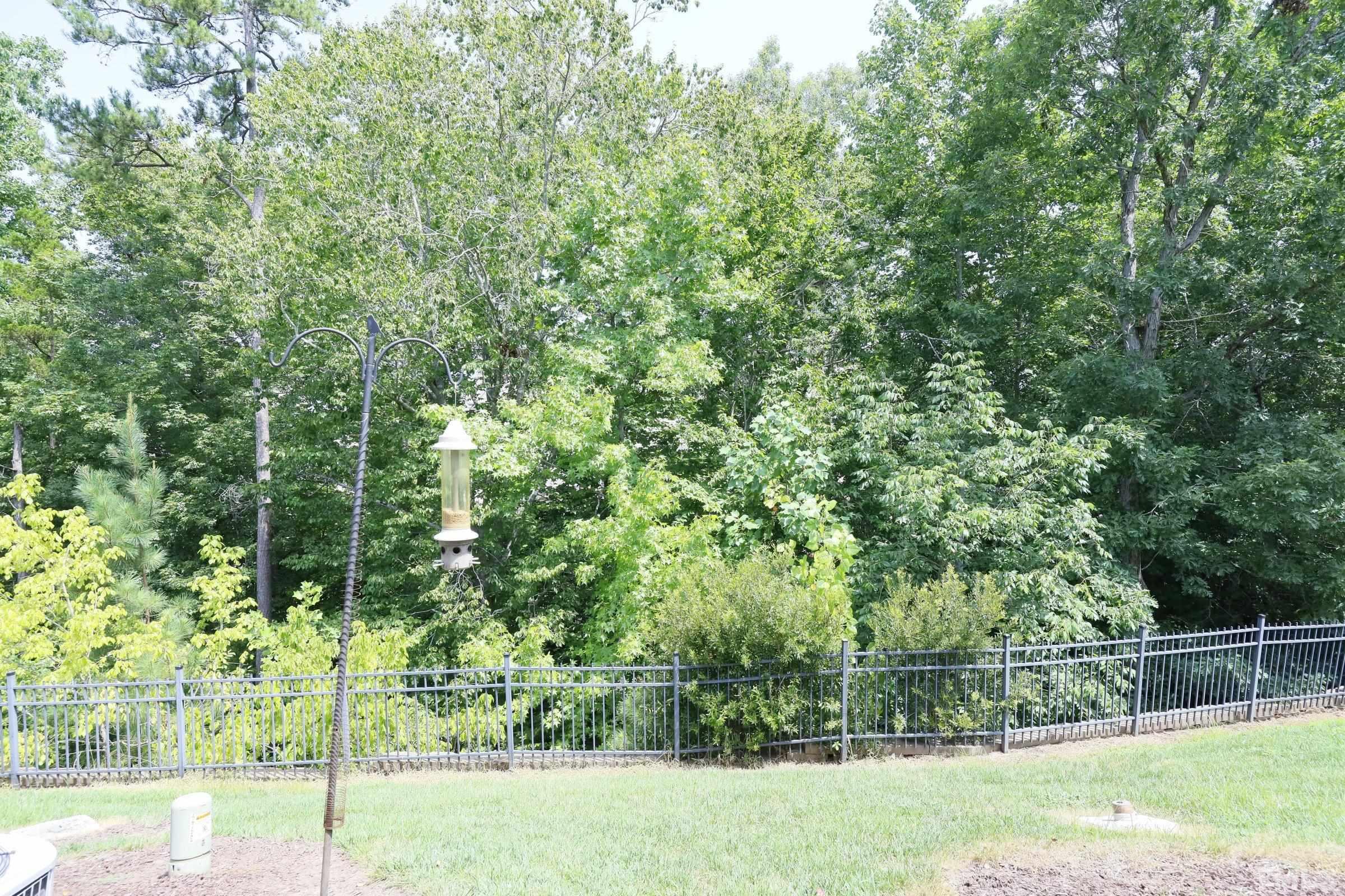 304 Red Elm Drive Durham, NC 27713 - Photo 26 of 27 a view of a yard with a tree