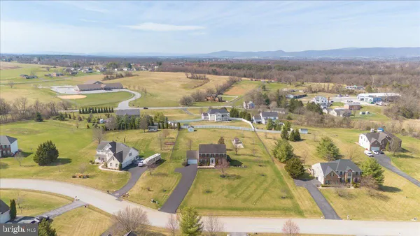 a view of a swimming pool with a lot of trees in the background