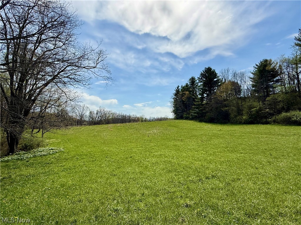 4101 Peace Road Southeast Carrollton, OH 44615 - Photo 19 of 48