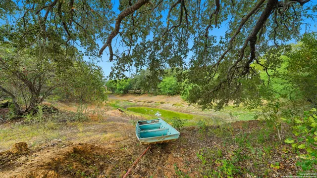 a view of a yard with a house