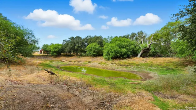 a view of outdoor space and yard
