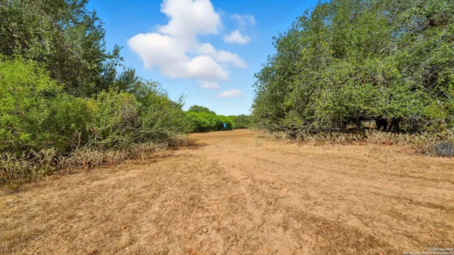 a view of a yard with an trees