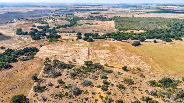 a view of a backyard with plants