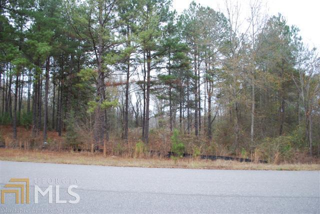 325 Old Windmill Road Perry, GA 31069 - Photo 1 of 1 Gallery Image 1