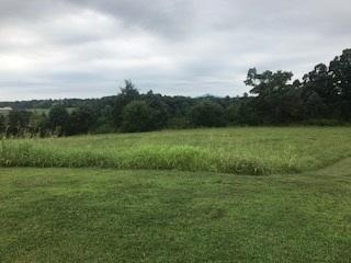 Lot 54 Nyle Ridge Road Wirtz, VA 24184 - Photo 1 of 2 Lot 54 Nile Ridge Road