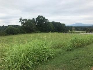 Lot 54 Nyle Ridge Road Wirtz, VA 24184 - Photo 2 of 2 IMG_1705 (1)