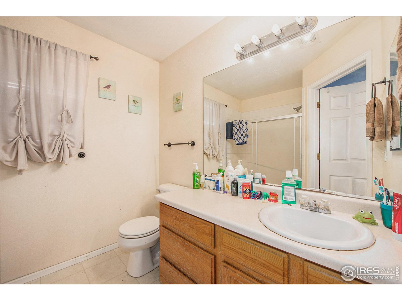 3519 Rialto Avenue Evans, CO 80620 - Photo 15 of 20