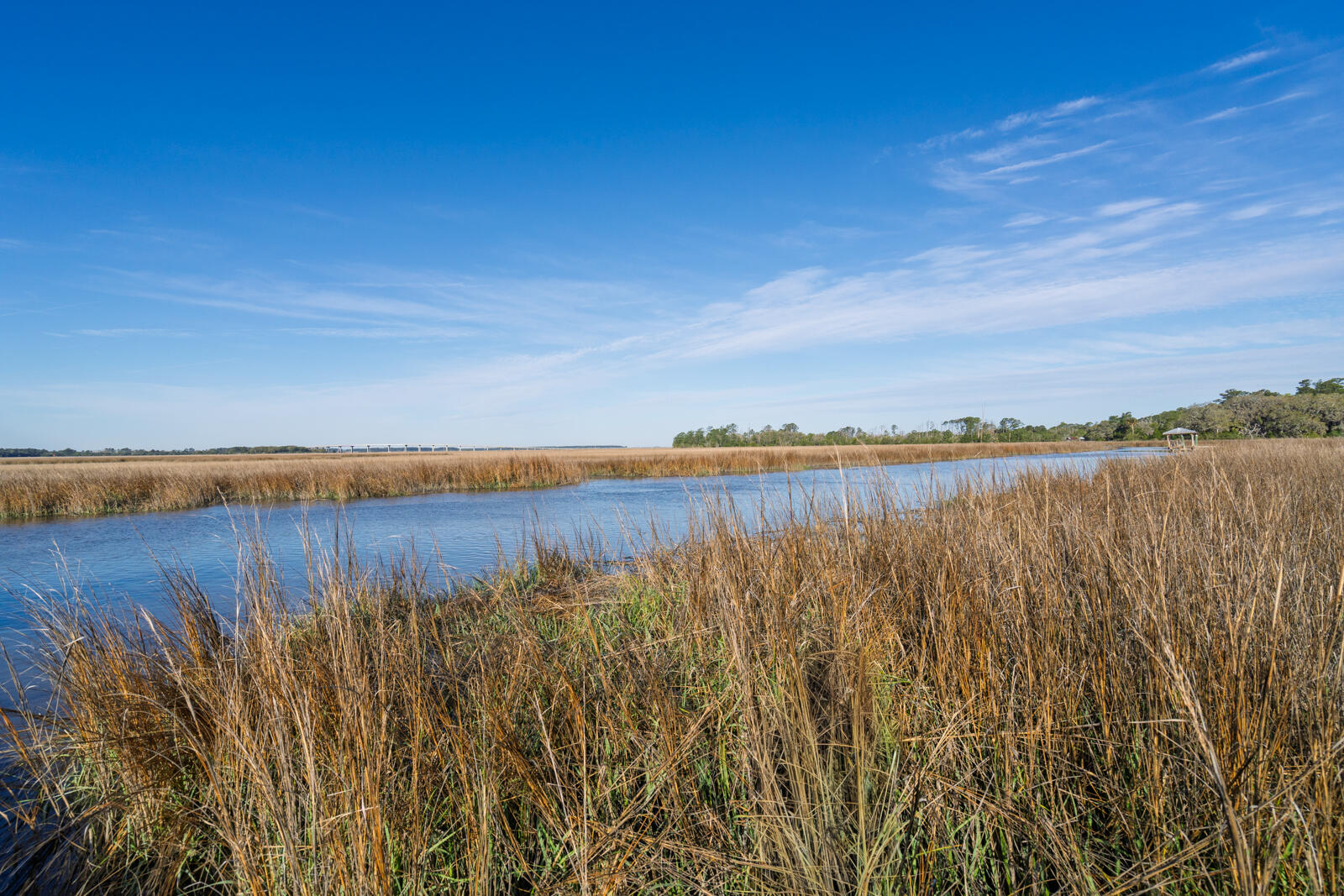 7717 White Point Road Hollywood, SC 29449 - Photo 39 of 99 untitled-17