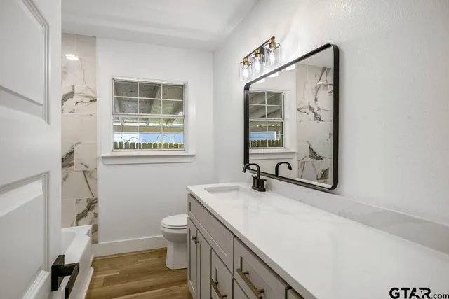 a bathroom with a sink a toilet and a mirror