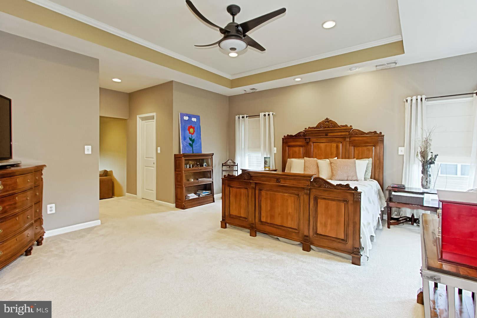 9050 Roaring Spring Loop Bristow, VA 20136 - Photo 20 of 30 Bedroom (Master)