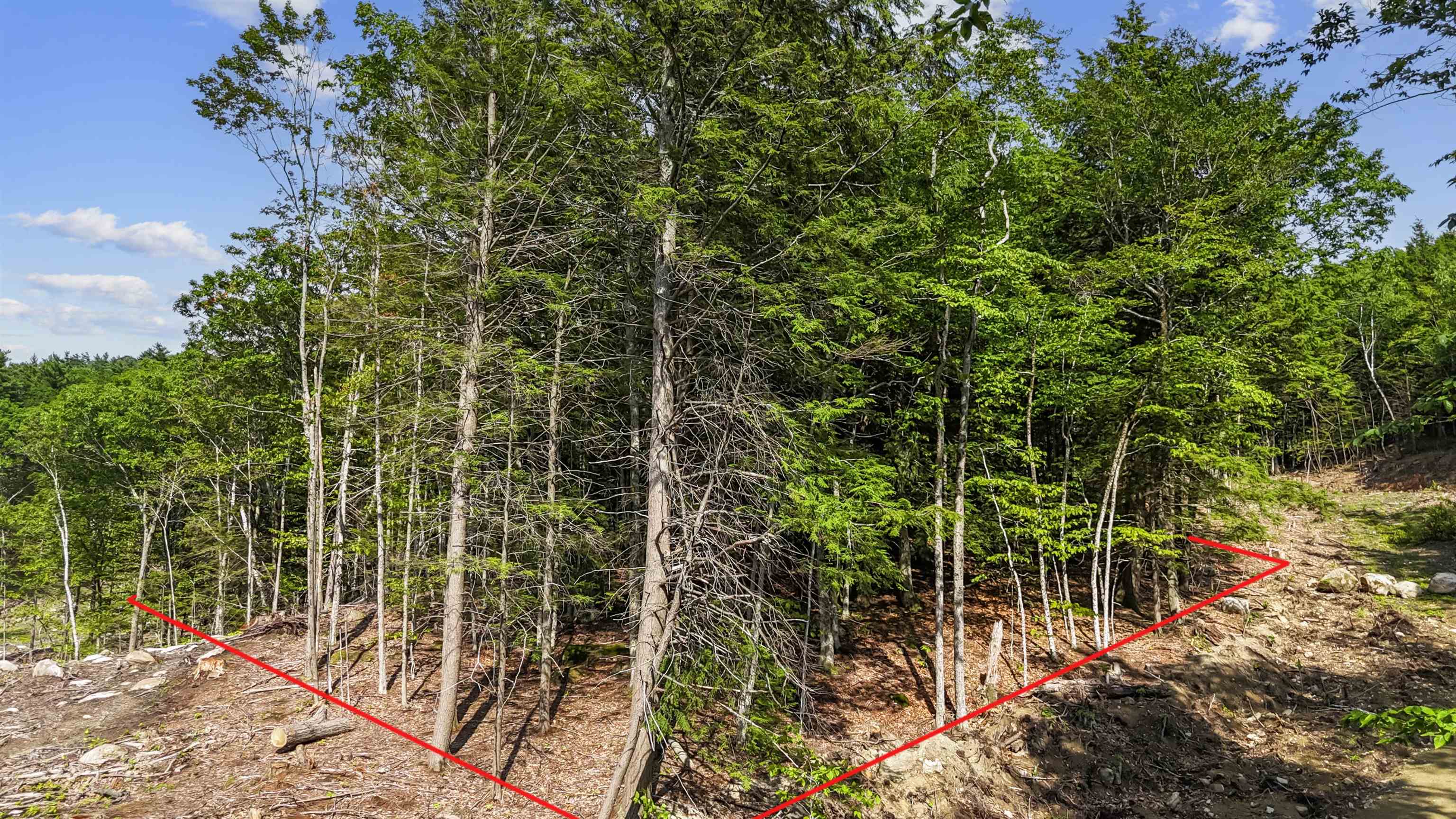 0 Garmish Drive, Unit 69 New Durham, NH 03855 - Photo 7 of 13