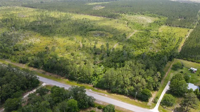 a view of a forest with a street