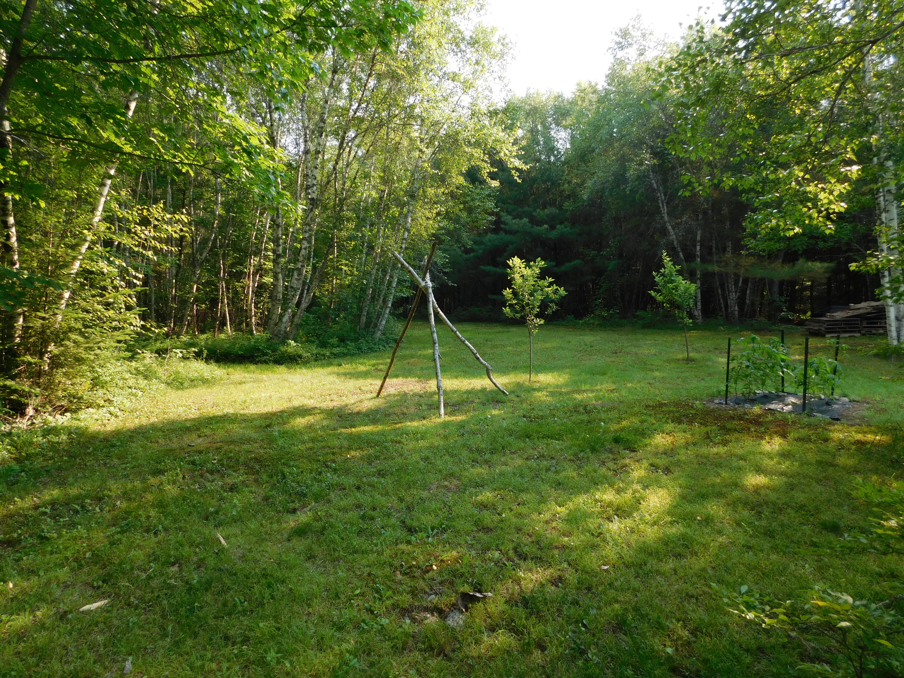 235 Nicolin Road Ellsworth, ME 04605 - Photo 53 of 152 DSCN1118
