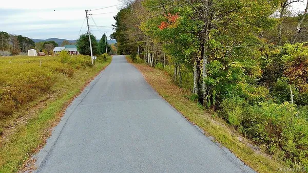 a view of a garden with a lake