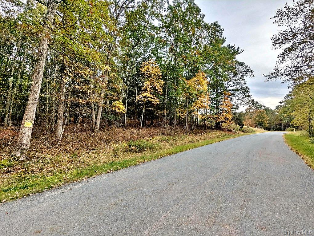 0 Kautz Road Callicoon, NY 12723 - Photo 13 of 16 a view of a road with a yard