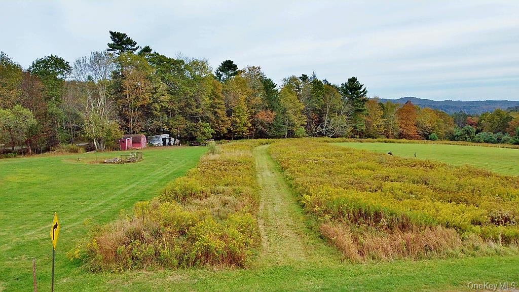 0 Kautz Road Callicoon, NY 12723 - Photo 4 of 16 a view of a big yard with lots of green space