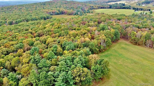 a view of a big yard with lots of green space
