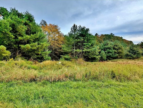 a view of a garden