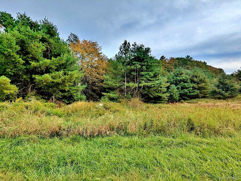 0 Kautz Road Callicoon, NY 12723 - Photo 10 of 16 a view of a garden