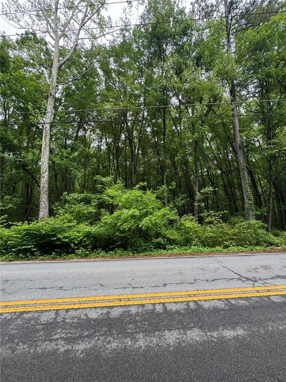 0 Friendship Church Road Southwest Powder Springs, GA 30127 - Photo 3 of 6 a view of street with tall trees