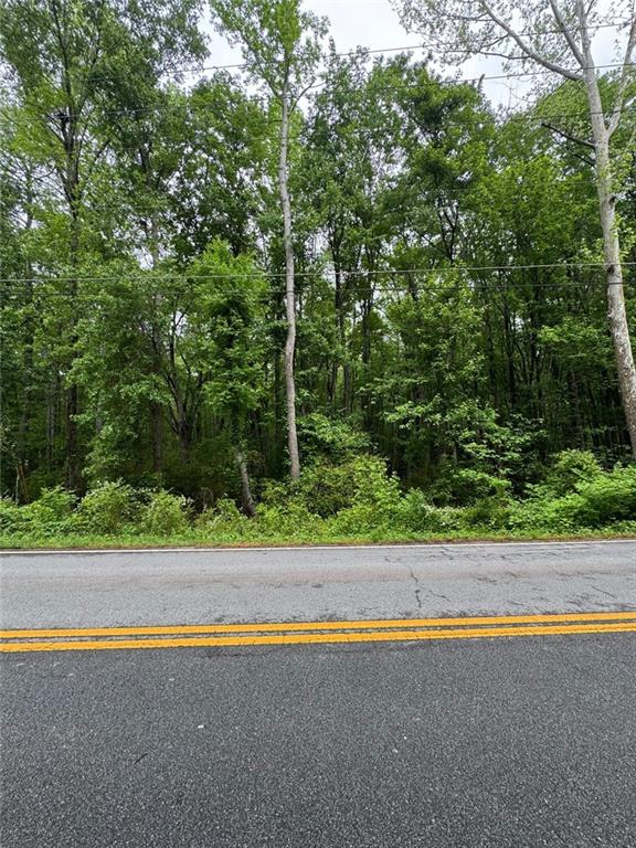 0 Friendship Church Road Southwest Powder Springs, GA 30127 - Photo 4 of 6 a view of a road with a yard and a large tree