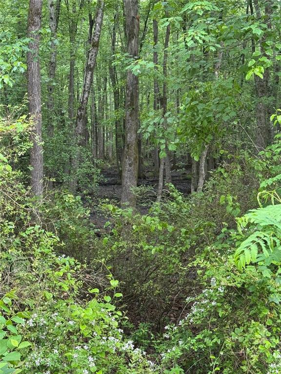 0 Friendship Church Road Southwest Powder Springs, GA 30127 - Photo 5 of 6 a view of outdoor space and green space