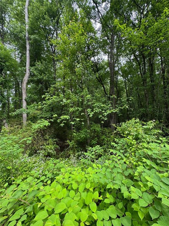 0 Friendship Church Road Southwest Powder Springs, GA 30127 - Photo 6 of 6 a view of a lush green forest