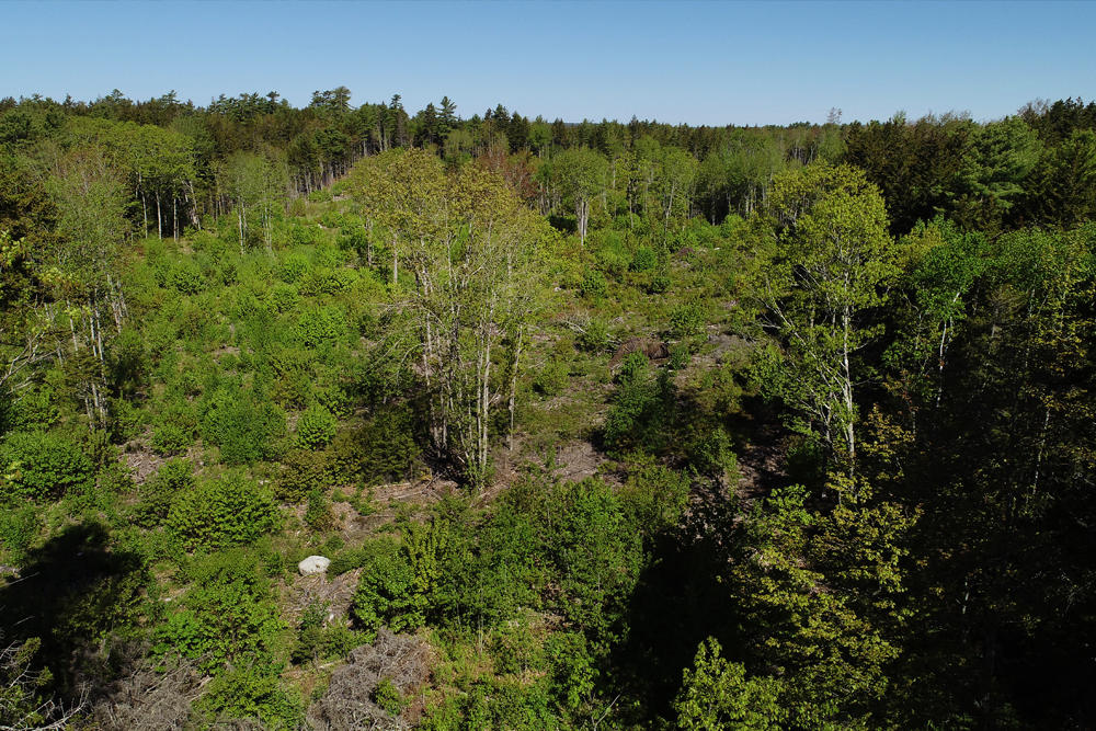 183 Martin Point Road Friendship, ME 04547 - Photo 22 of 29 yues MartinPoint-web11